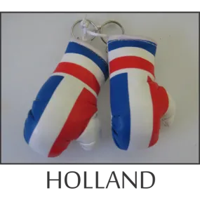 Holland Mini Boxing Glove