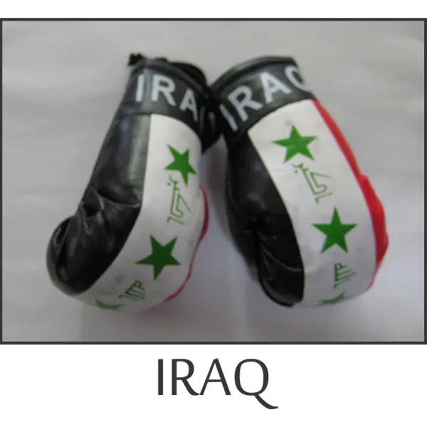 Iraq Mini Boxing Glove