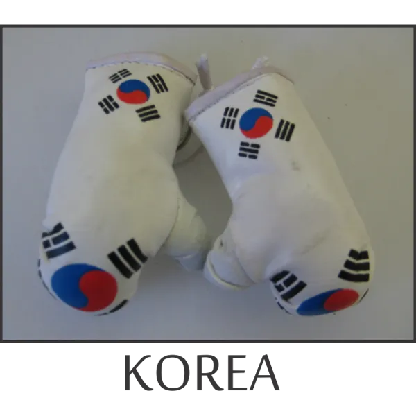 Korea Mini Boxing Glove