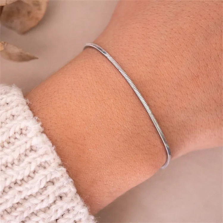 Korean Simple Fashion Snake Bone Bracelet