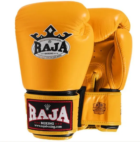 Raja Muay Thai Sparring bundle