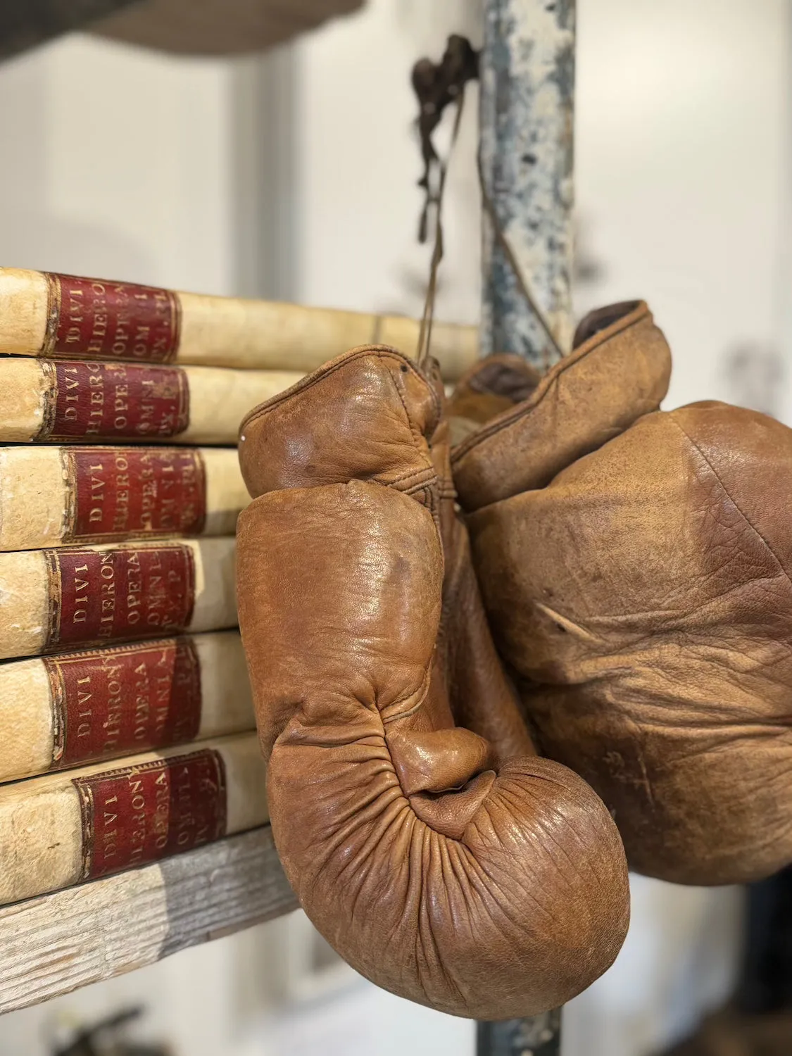 Vintage French Boxing Gloves